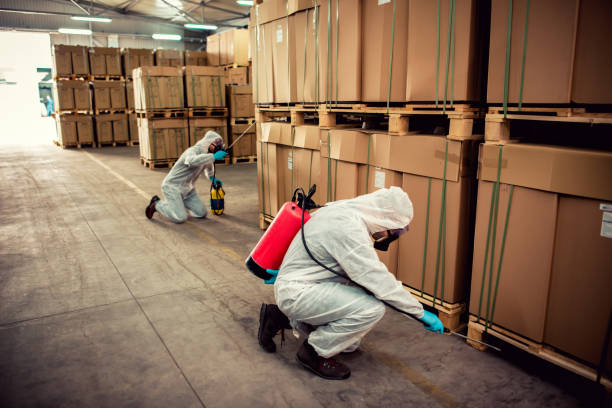 Best Cockroach Control Services  in Wilmington, OH