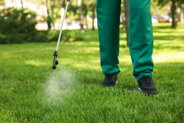 Best Insect Control  in Wilmington, OH