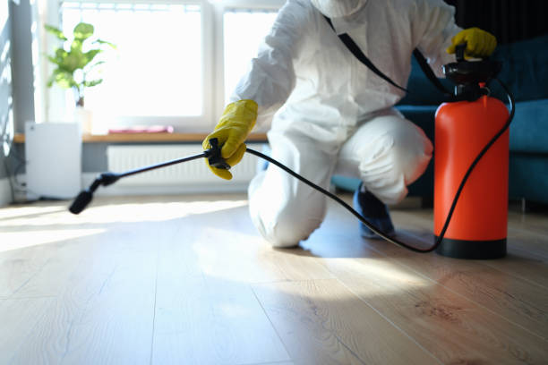 Insect Control in Wilmington, OH