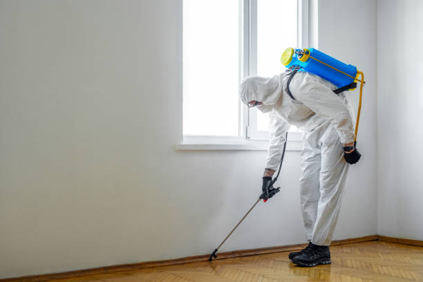 Pest Control for Restaurants in Wilmington, OH