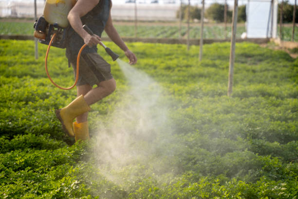Professional Pest Control in Wilmington, OH