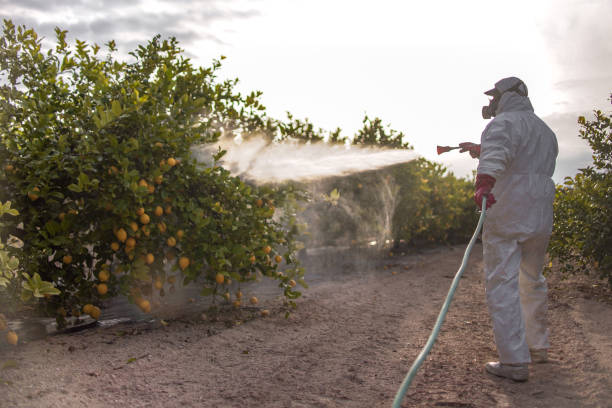 Best Emergency Pest Control  in Wilmington, OH