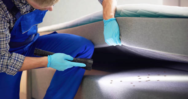 Best Affordable Pest Control Services  in Wilmington, OH