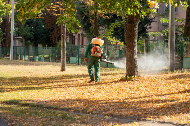 Best Wasp Removal Services  in Wilmington, OH