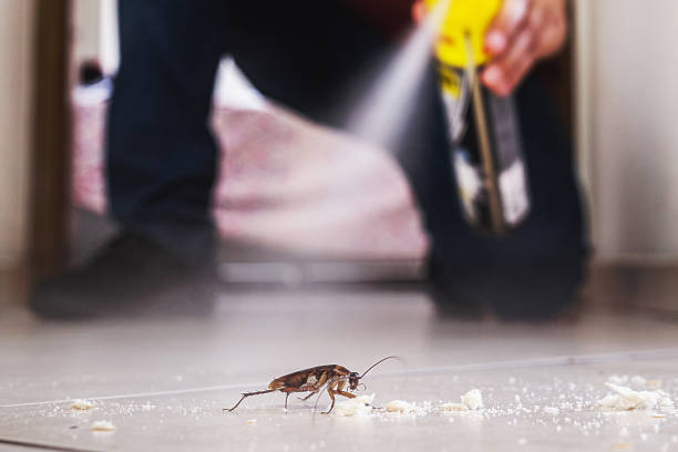 Best Bed Bug Extermination  in Wilmington, OH