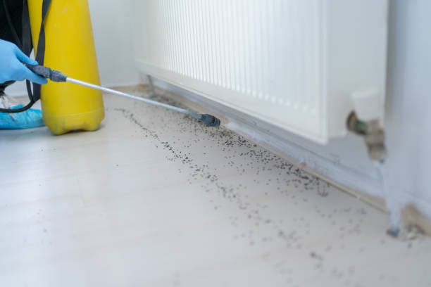 Best Mosquito Control Services  in Wilmington, OH